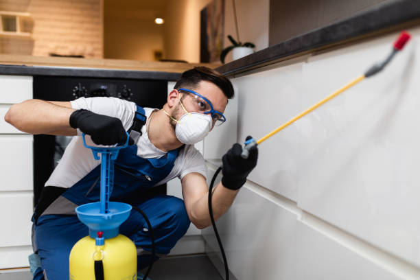 Best Wildlife Control Services  in Terry, MS