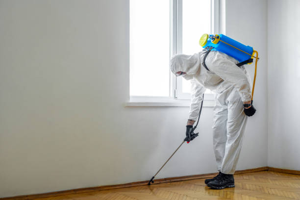 Best Pest Control Treatment  in Terry, MS