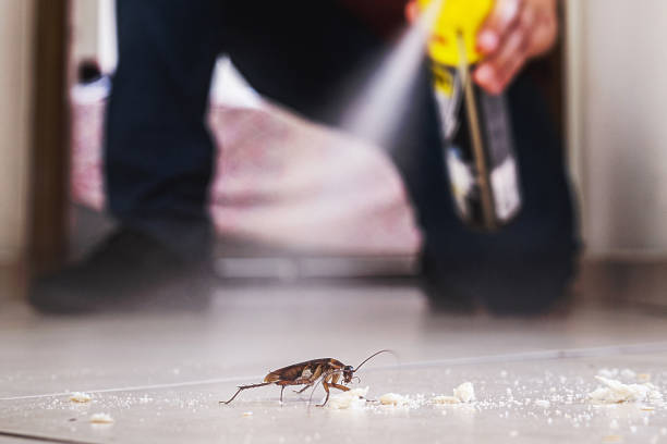 Terry, MS Pest Control Company