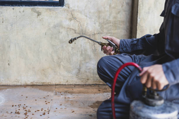 Best Best Pest Control Companies  in Terry, MS